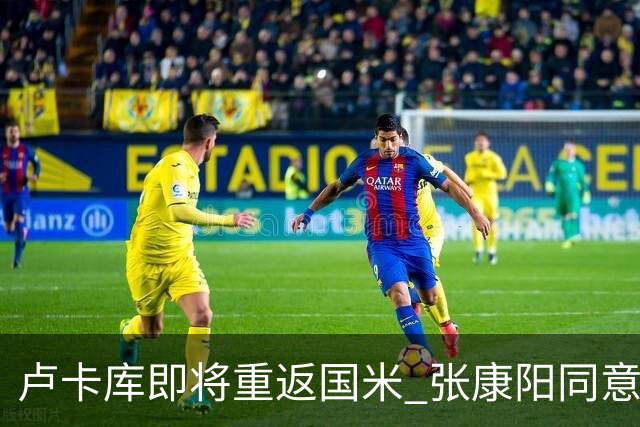 卢卡库即将重返国米 张康阳同意800万镑租借方案